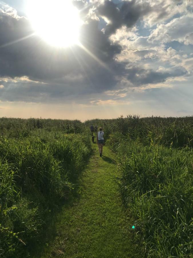 Suurkivi Nature Escape Häädemeeste エクステリア 写真